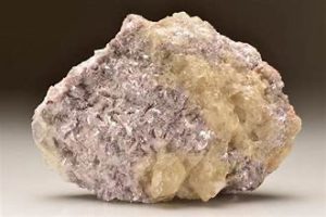 Parliament approves lithium mining lease agreement