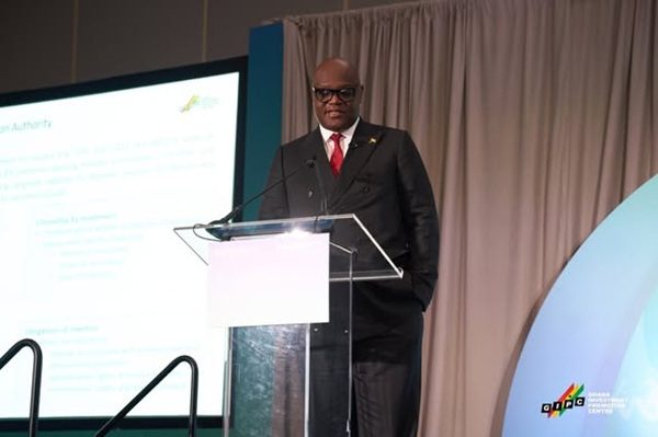 Chief Executive Officer of the Ghana Investment Promotion Centre (GIPC), Simon Madjie 1