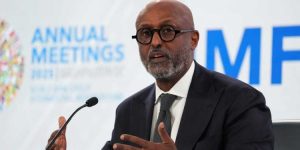 Director of the African Department, Abebe Aemro Selassie 2
