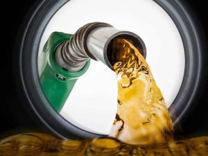 Oil 1