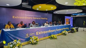 MMFL shareholders approve directors, dividend