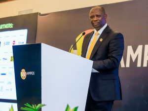 Minister of Lands and Natural Resources, Emmanuel Armah-Kofi Buah 90099