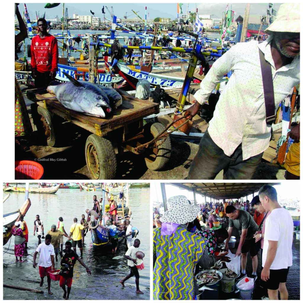 Tema fishers 1