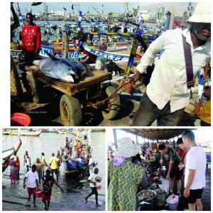 Tema fishers 1