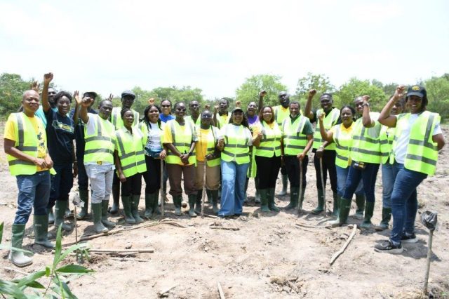 MTN Ghana ends 2026 sustainability campaign with SME focus