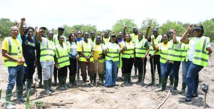 MTN Ghana -Sustainability Month 2
