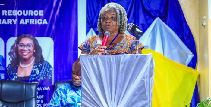 Gold extraction putting lives at risk — WACAM